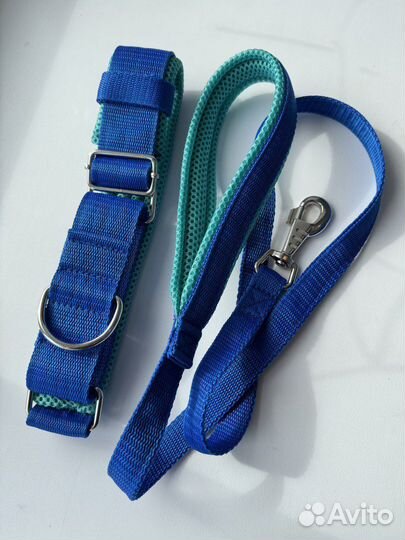 Ошейник мартингейл для собак с поводком