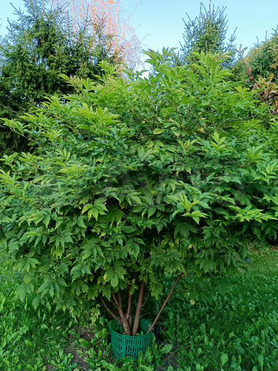 Дом 141,5 м² на участке 22 сот.