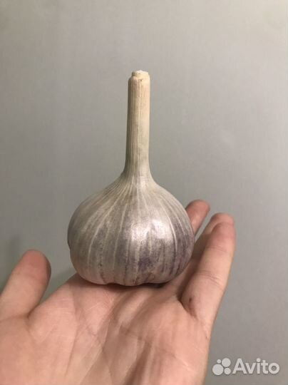 Чеснок