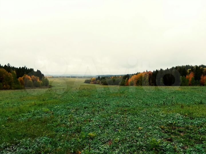 Участок 3,2 га (СНТ, ДНП)