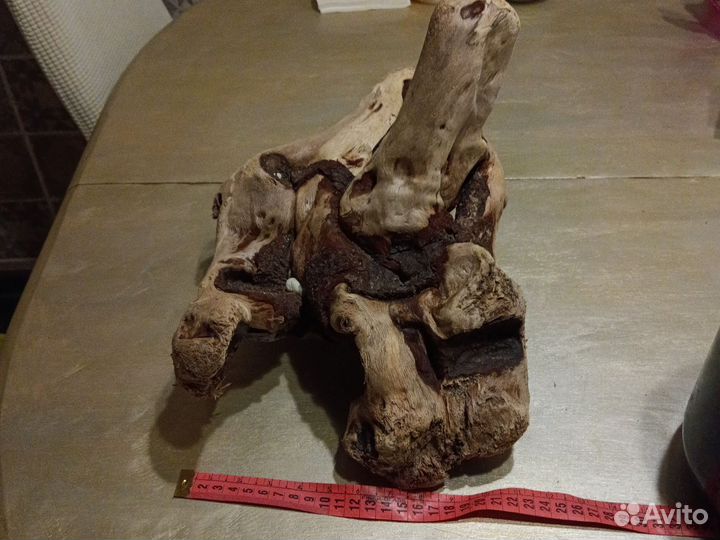 Коряги дрифтвуд