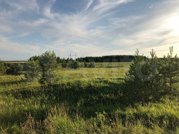 Участок 15 га (СНТ, ДНП)