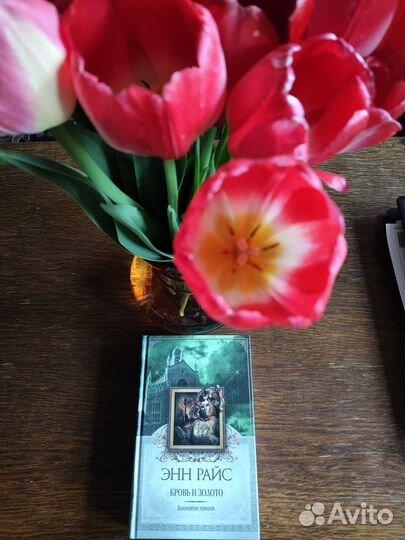 Энн Райс Вампирские хроники