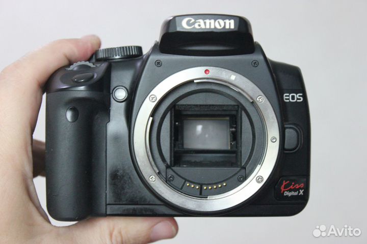 Canon EOS Kiss Digital X (Japan)