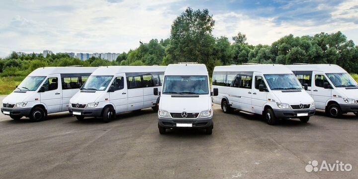 Заказ автобуса для детей