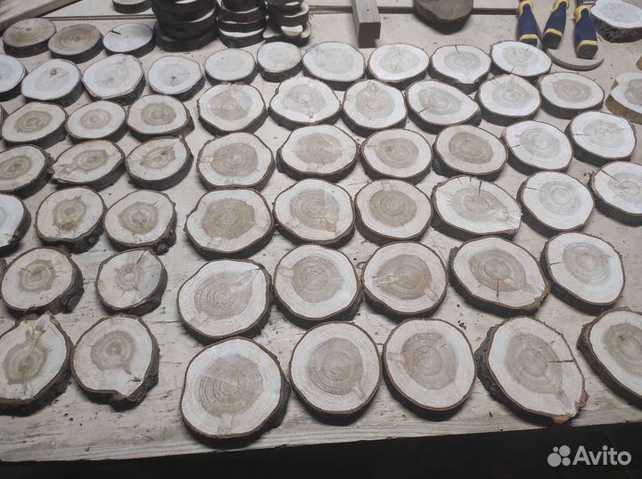 Спилы дерева разных пород