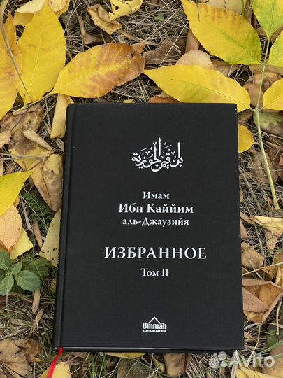 Ибн Каййим аль-Джаузийя. Избранное 2 том