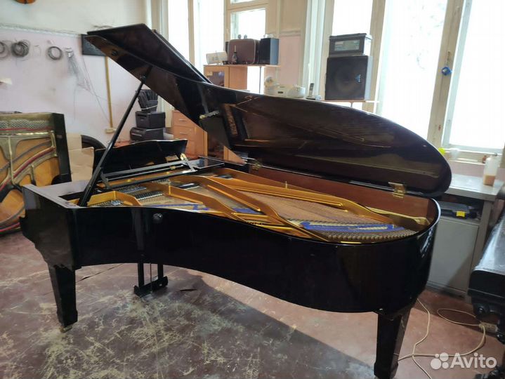 Малый концертный рояль Blüthner