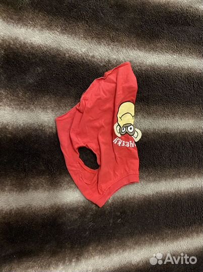 Одежда для собак