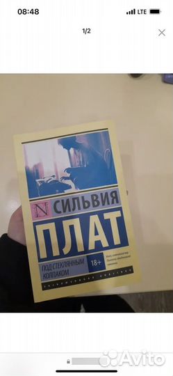 Сильвия Плат, Под стеклянным колпаком