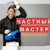 Дезинфекция тараканов клопов морить насекомых