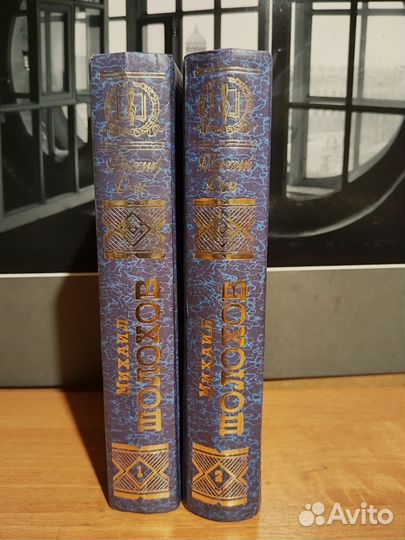Шолохов Тихий Дон в двух книгах