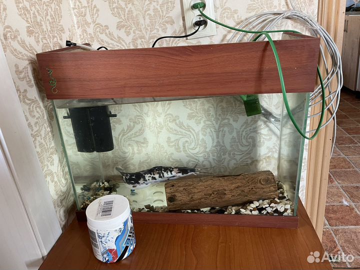 Аквариум