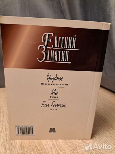 Евгений Замятин Мы Бич божий Уездное