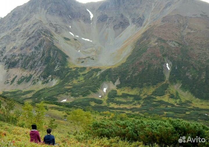 Тур путевка Камчатка экспедиции 5-9 дн