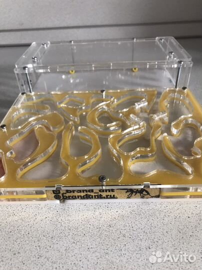 Муравьиная ферма бу