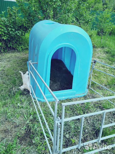 Домик для телят