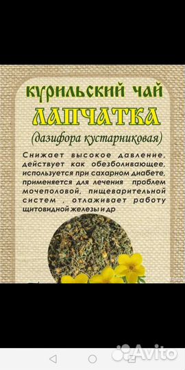 Лапчатка жёлтая (Курильский чай)