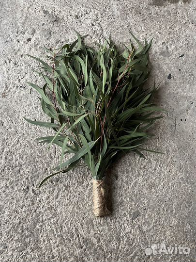 Эвкалипт веники для бани
