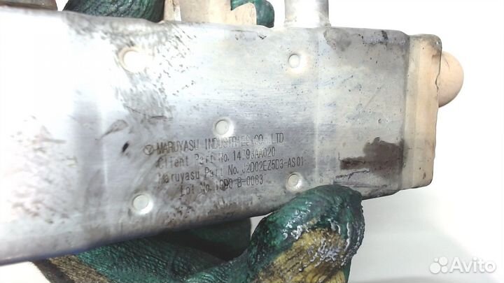 Охладитель отработанных газов Subaru Legacy Outbac