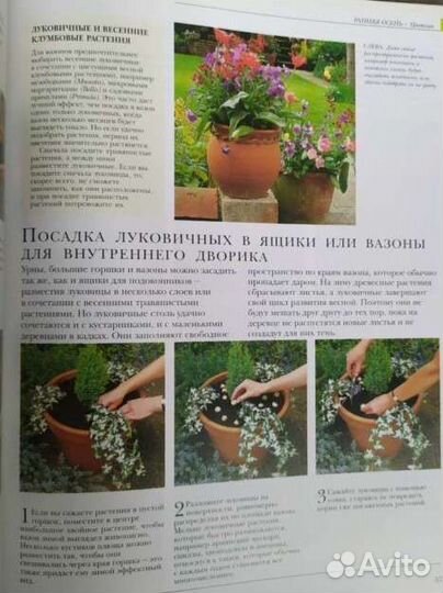 Книга альбом 