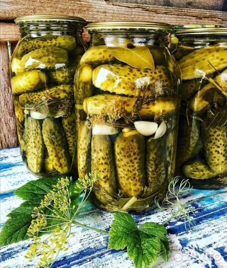 Огурцы солёные, маринованные, очень вкусные