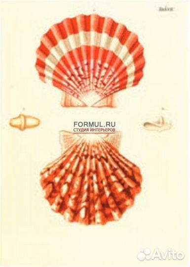 225777 Постер Авторская работа SHL 043