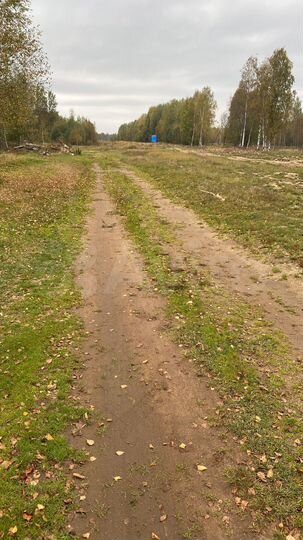 Участок 10 сот. (СНТ, ДНП)