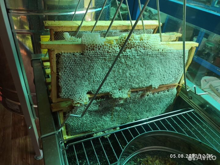 Мед гречишный 2023года