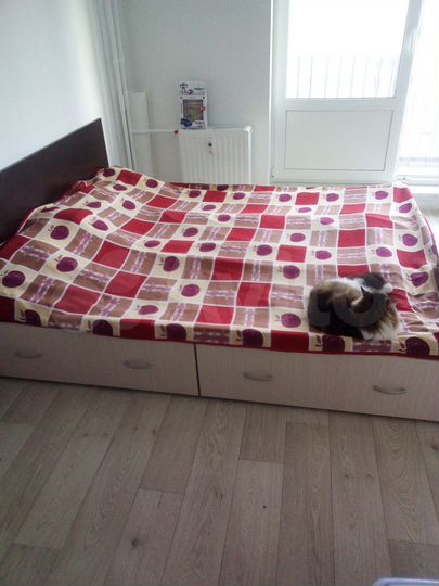 Квартира-студия, 21,9 м², 9/13 эт.