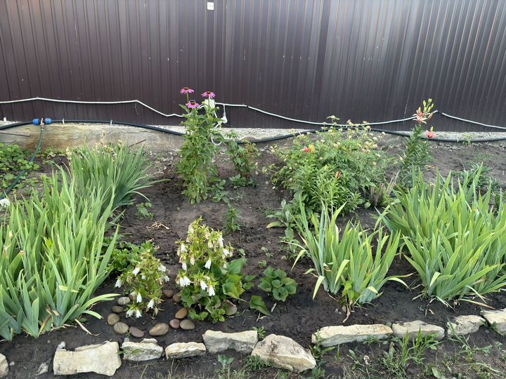 Дом 20 м² на участке 5 сот.