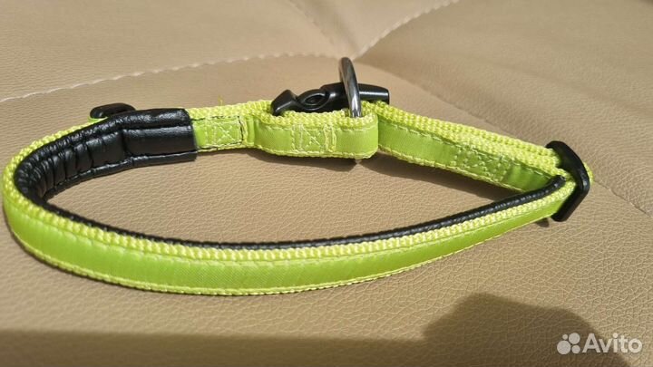 Ошейник для собак