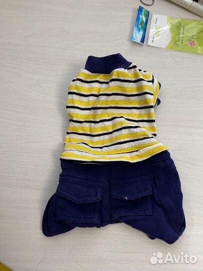 Одежда для собак