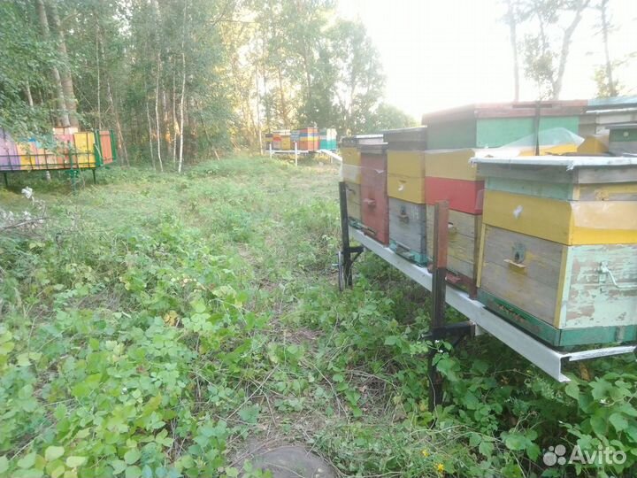 Пчеловодческая платформа