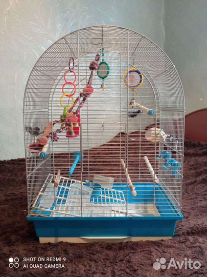 Клетка для попугая
