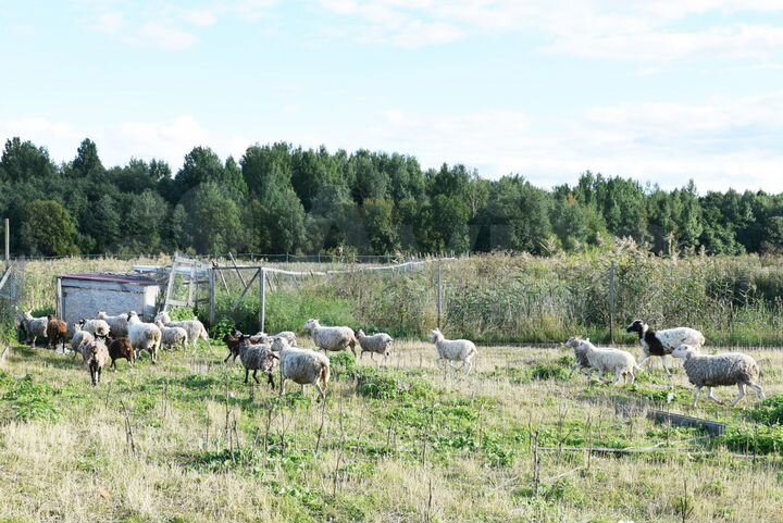 Участок 9,2 сот. (СНТ, ДНП)