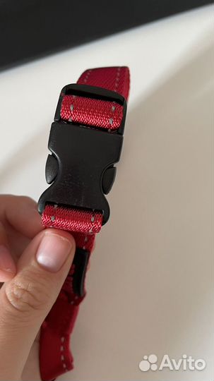 Недоуздок для собак halti красный, Size 2