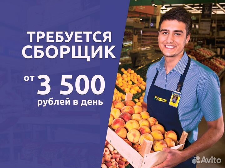 Сборщик заказов. Ежедневная оплата