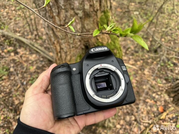 Canon eos 50d, с маленьким побегом