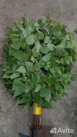 Веники для бани