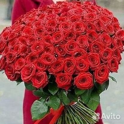 Цветы розы букеты 25 31 35 51 101 251 Доставка