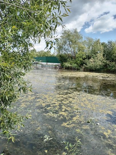 Дом 90 м² на участке 10 сот.