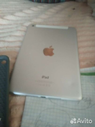 iPad