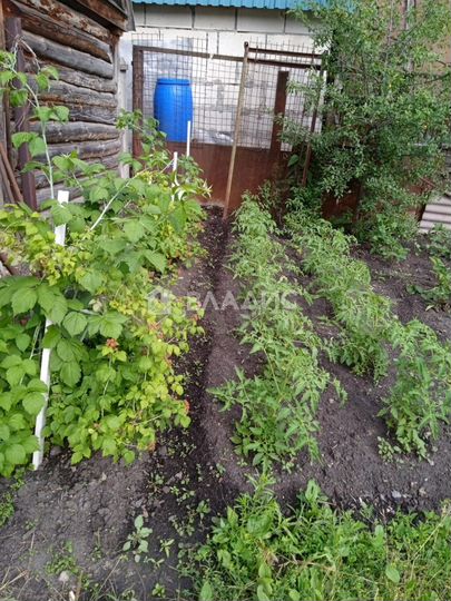 Участок 5,5 сот. (СНТ, ДНП)
