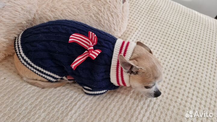 Вязаная кофта для собаки мелких пород