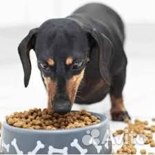 Менеджер по продажам удаленно свободный график