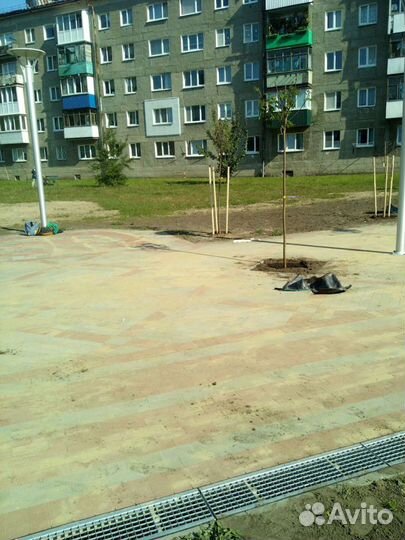 Колышки для саженцев круглые 45мм