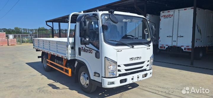 Isuzu Elf (N-series), 2024