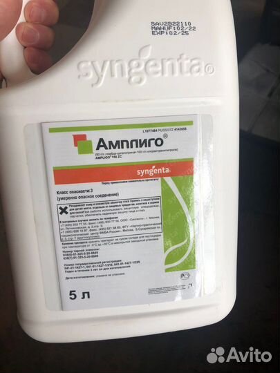 Амплиго