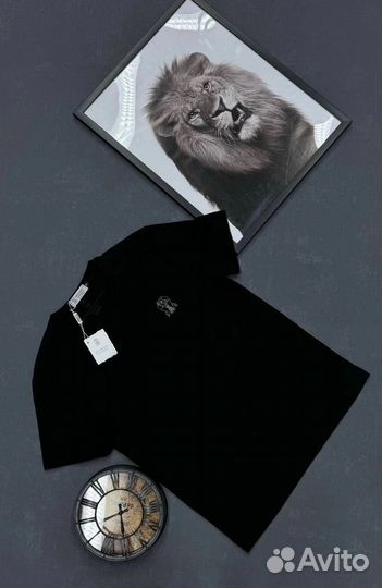 Футболка мужская Brunello Cucinelli